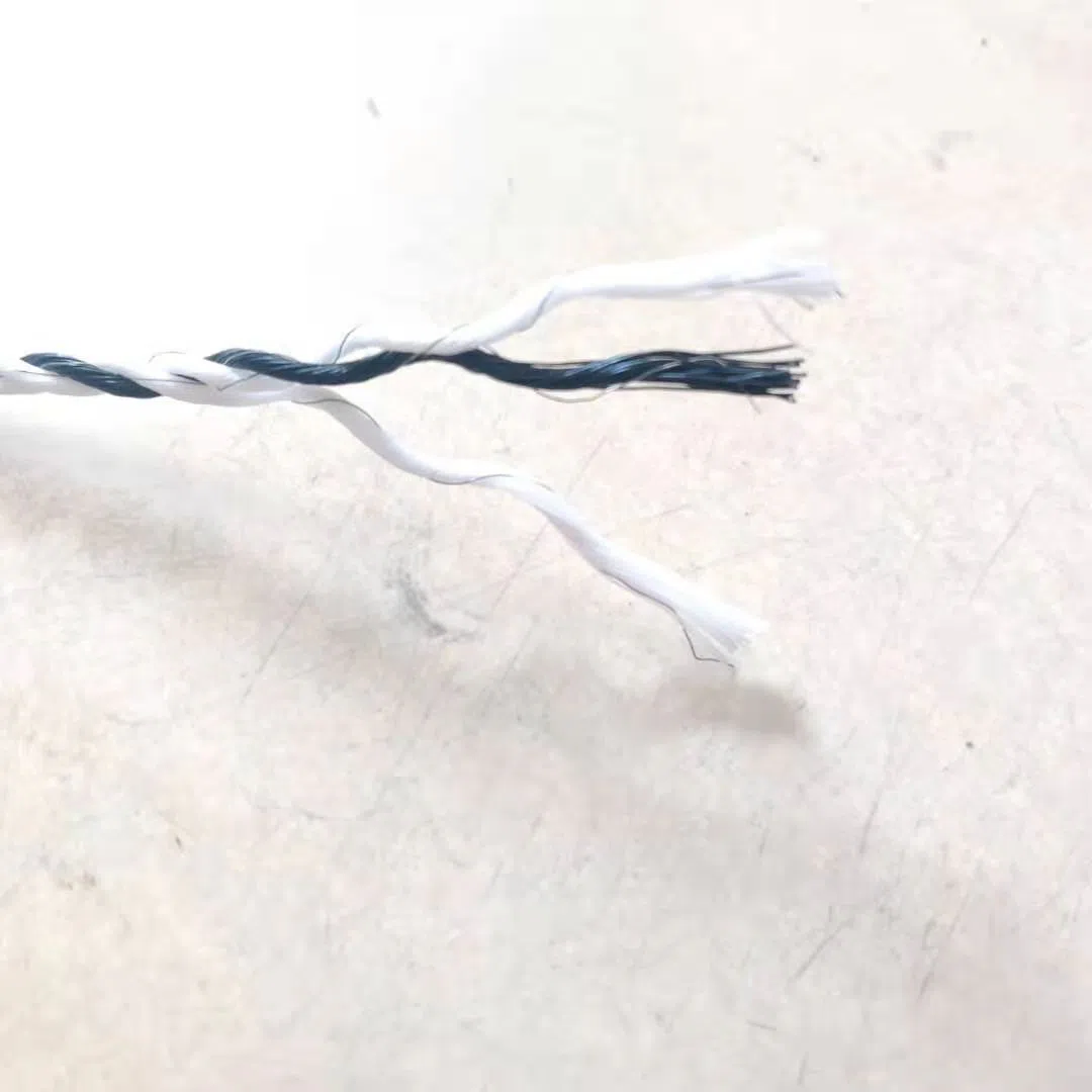 corde électrique
