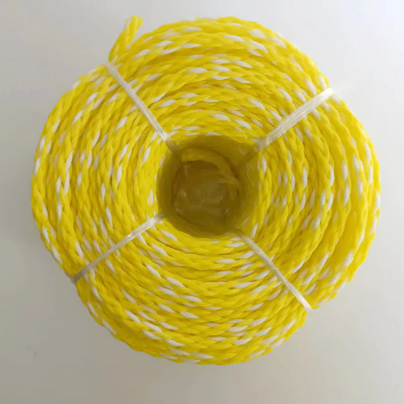 Corde de piscine