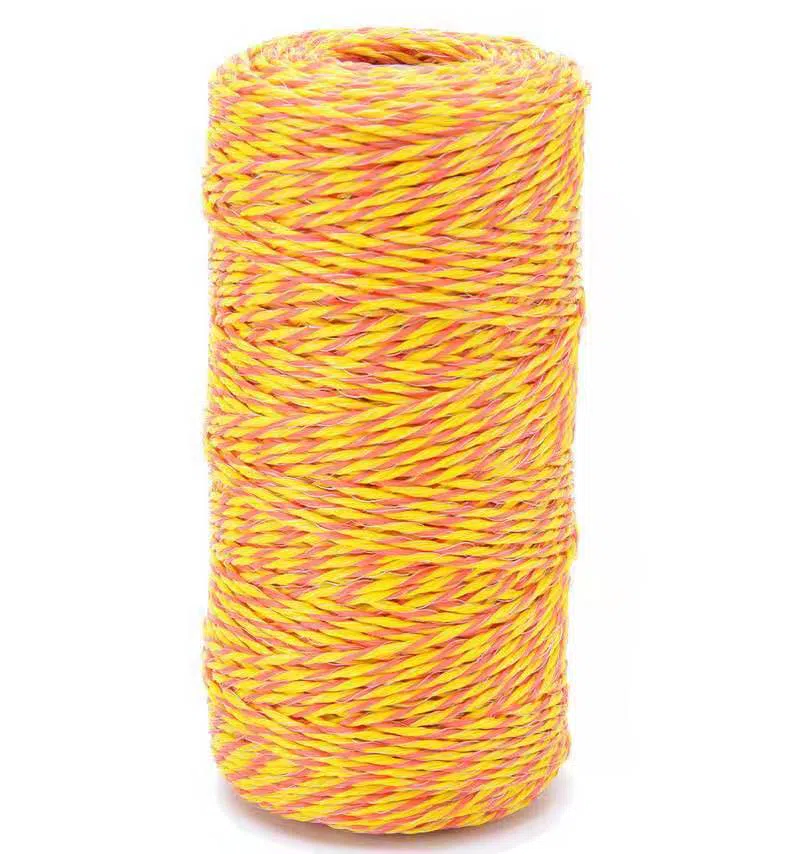 Corde électrique