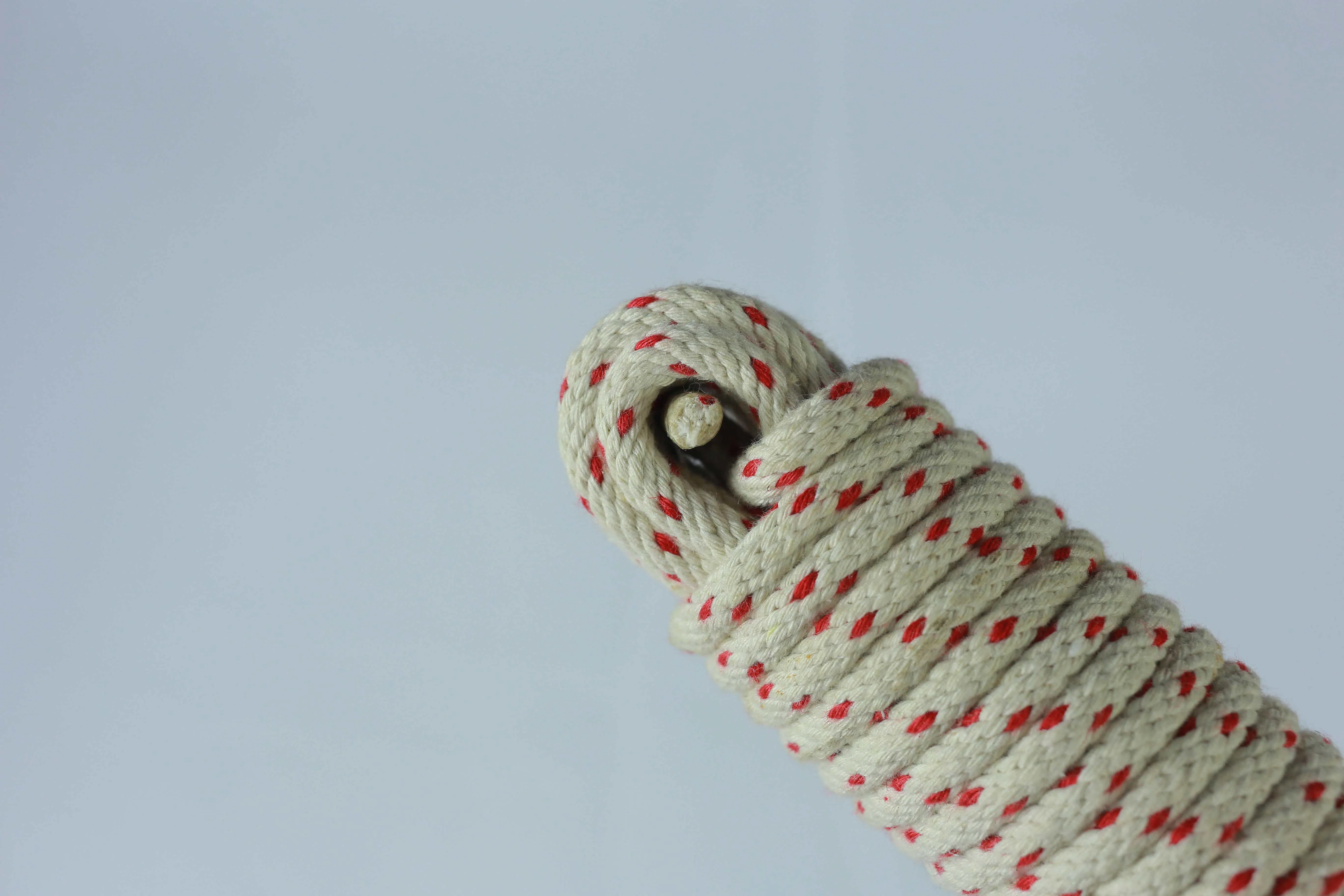 Corde pour animal de compagnie