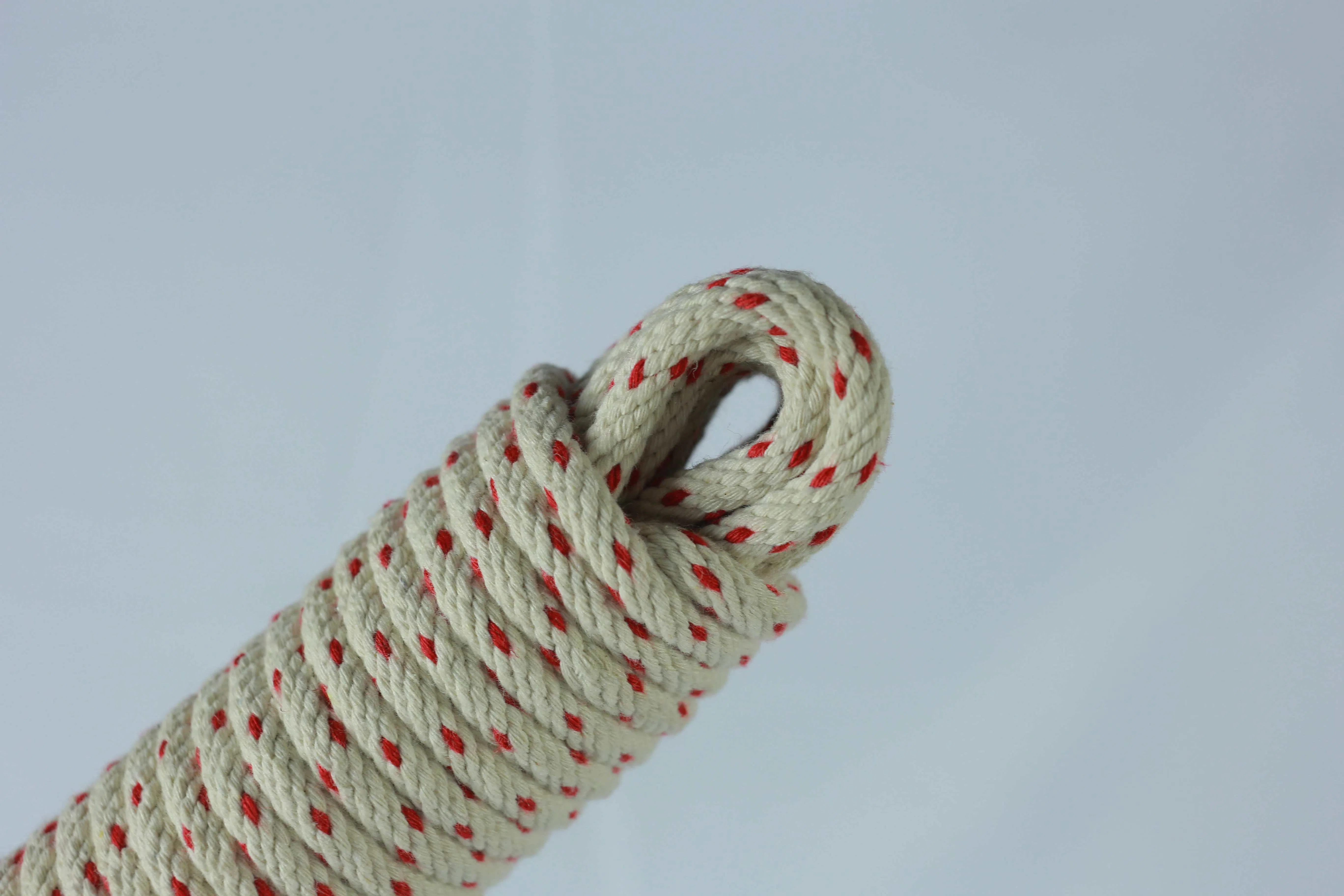 Corde pour animal de compagnie