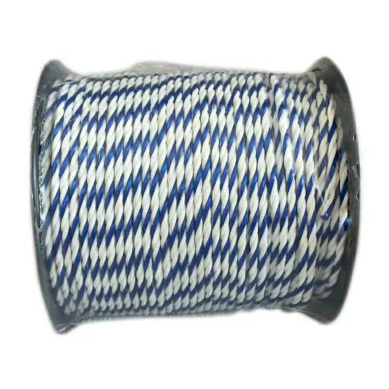 Corde électrique