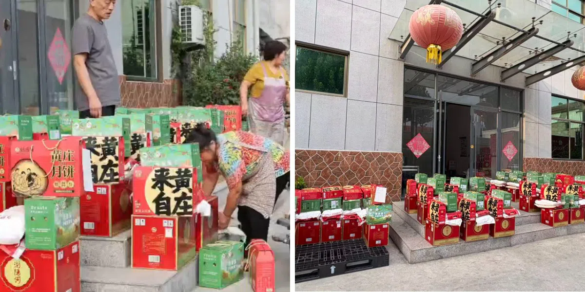 Shandong Best New Material Technology CO.,Ltd.