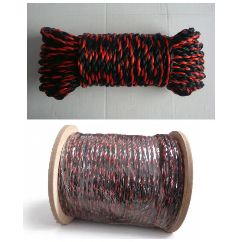 Corde de camion PE