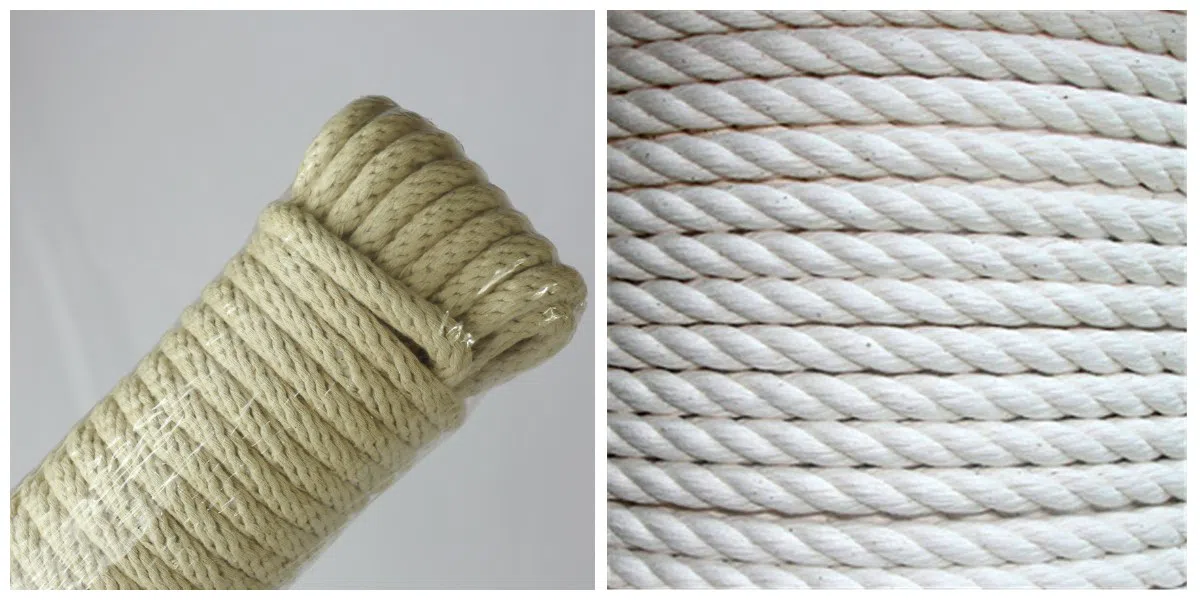 corde pour animaux de compagnie