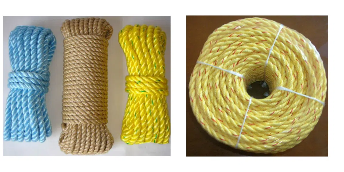 Corde PP Danline